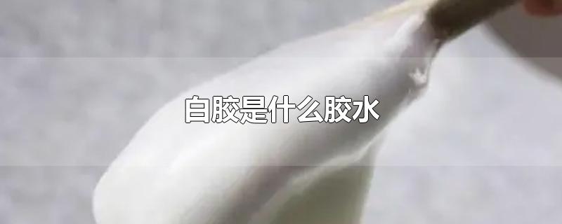 白胶是什么胶水有毒吗(水胶是什么胶)