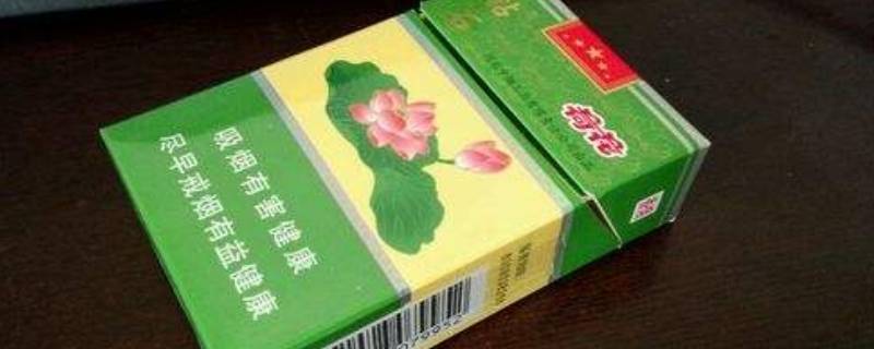 荷花烟的经典语录