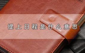 回家提上日程是什么意思(减肥提上日程是什么意思)