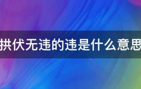 拱伏无违的违是什么意思?(拱伏无违的违是什么意思解释)