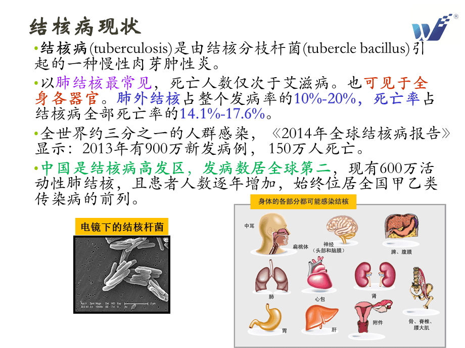 ptt是什么意思