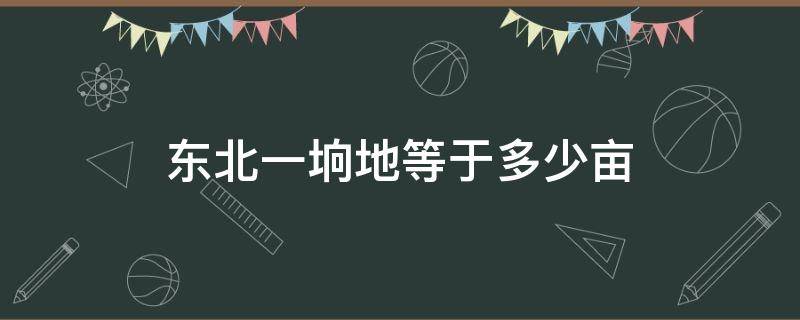 东北一垧地等于多少亩地(东北一项是多少亩地)