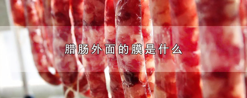 腊肠外面的膜是什么做的(腊肠外面的膜是什么膜)