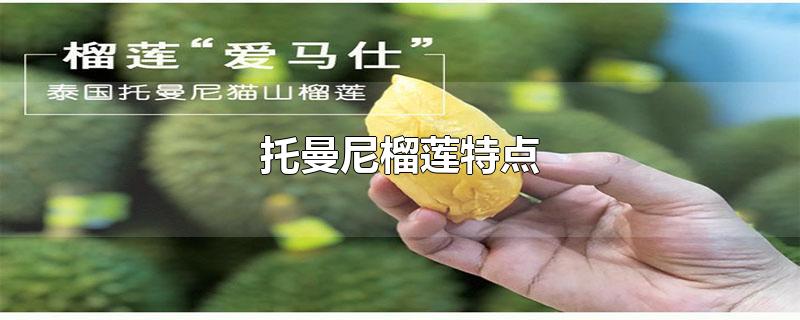 托曼尼榴莲特点(托曼尼榴莲特点介绍)