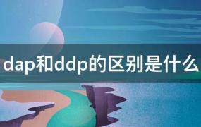 DAP和DDP的区别(ddp和dap什么意思)