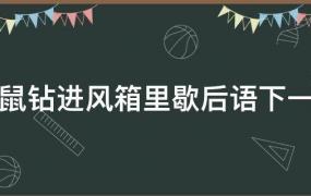 老鼠钻进风箱里歇后语下一句是什么意思(歇后语大全老鼠钻进风箱里)