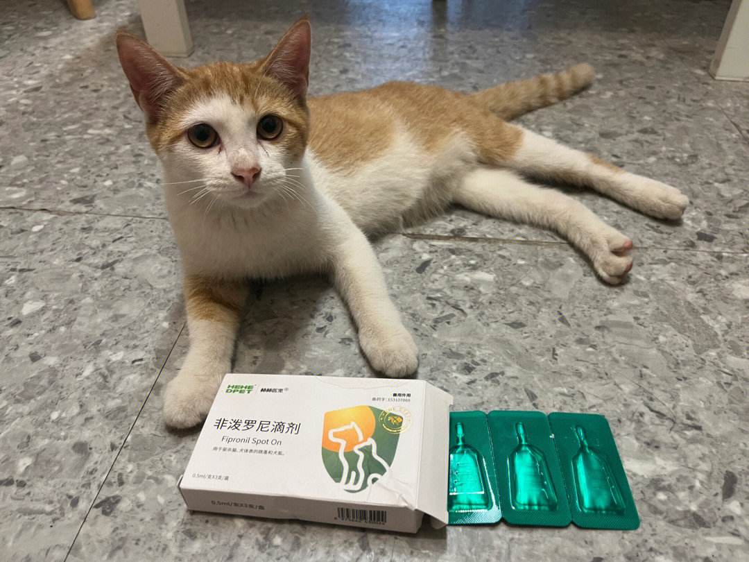 猫多久驱虫一次