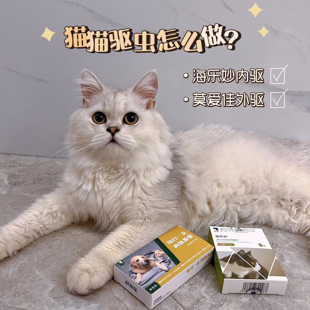 猫多久驱虫一次