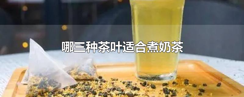 哪三种茶叶适合煮奶茶(什么茶叶适合煮奶茶)