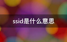 ssid是什么意思路由器设置里(bssid是什么意思)