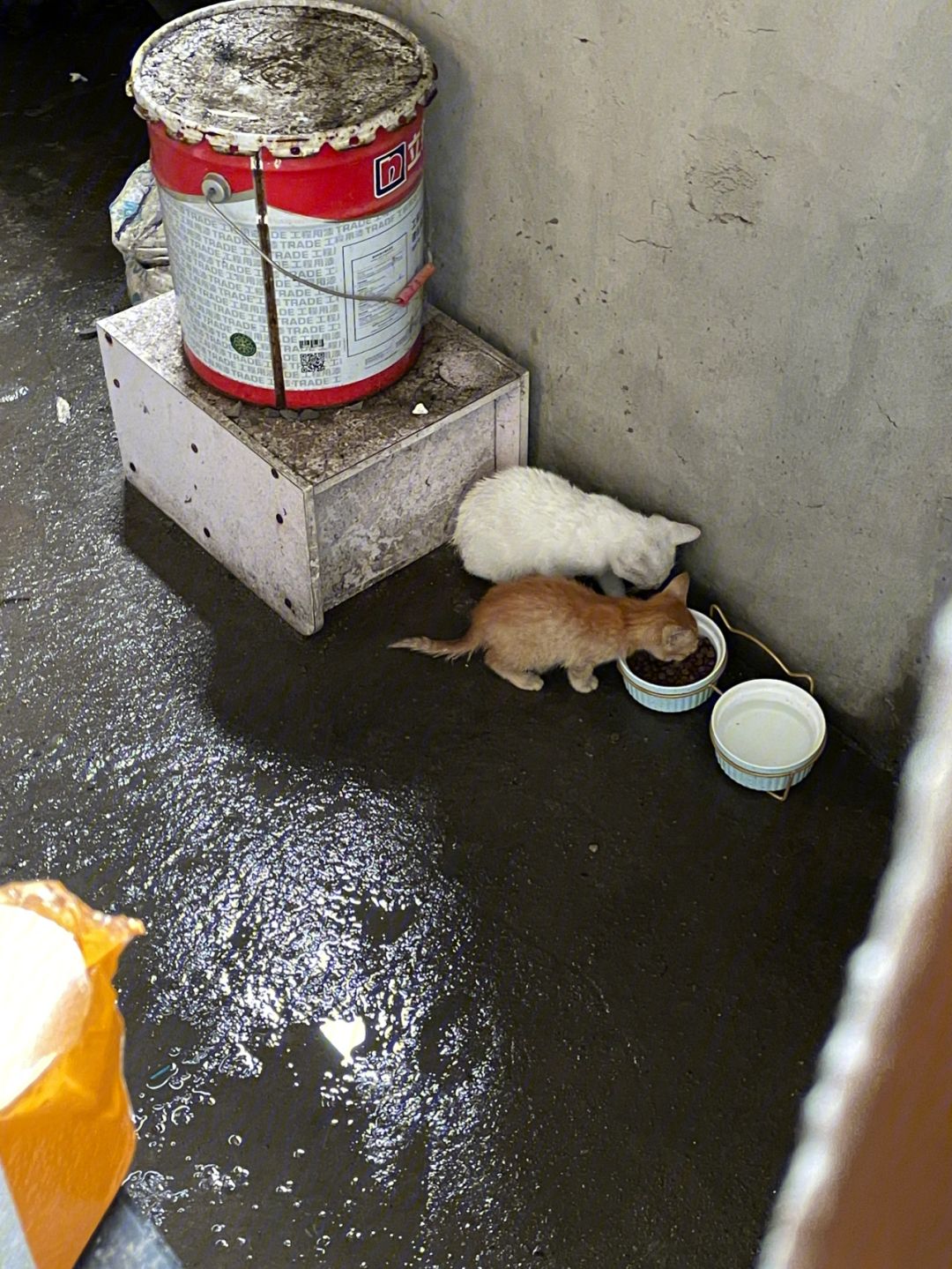 遮风挡雨的近义词