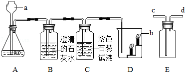 检验二氧化硫