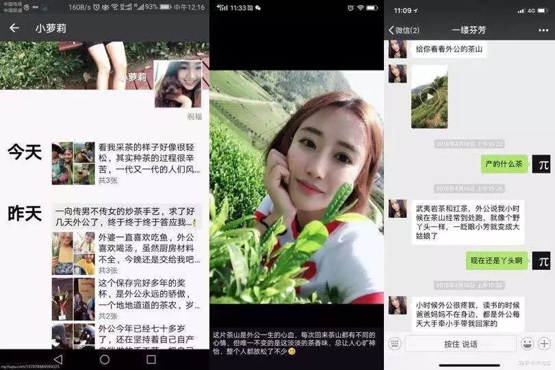 卖茶女什么意思