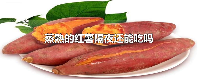 隔夜红薯可以吃吗