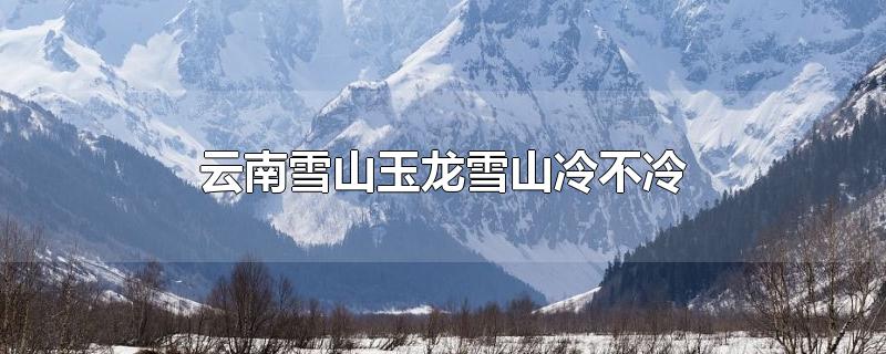 云南玉龙雪山冷吗(云南的玉龙雪山冷不冷现在是多少度)