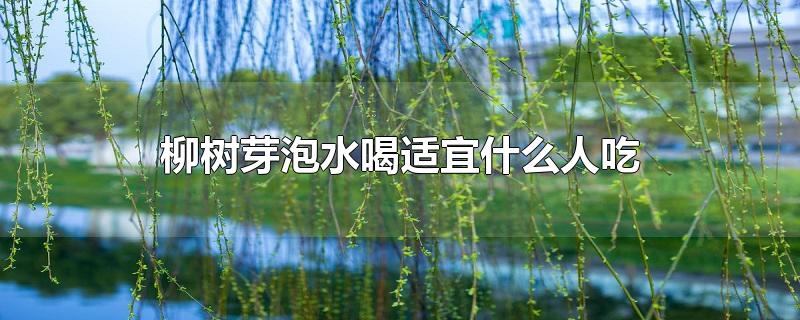 柳树芽泡水喝有什么功效(柳树芽能吃吗)