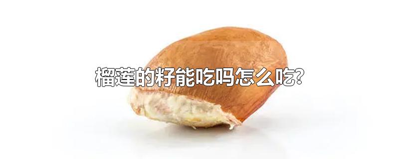 榴莲的籽能吃吗怎么吃?(榴莲的籽可以吃吗)