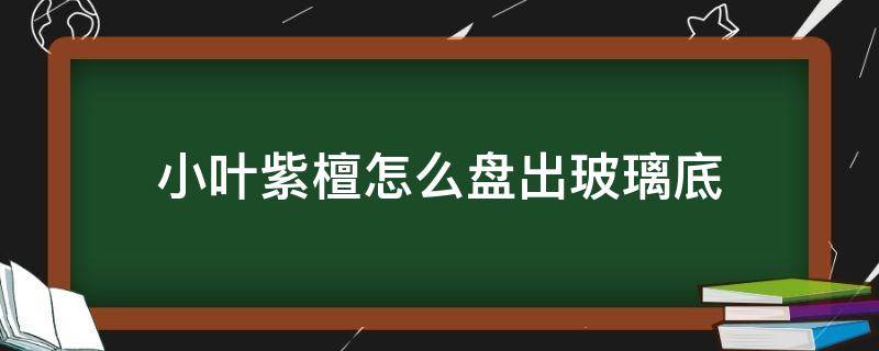 小叶紫檀怎么盘出玻璃底包浆(小叶紫檀怎么盘出玻璃底包浆视频)