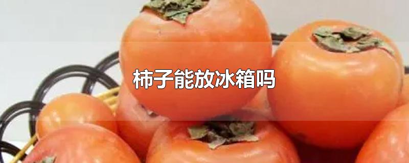 柿子能放冰箱吗(柿子能放冰箱吗保鲜吗)