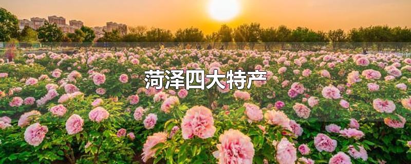 菏泽四大特产(菏泽十大特产是什么)