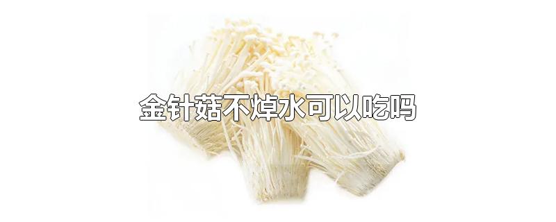 金针菇不焯水能吃吗(金针菇吃前不用开水焯可以吗)