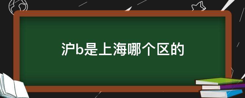 沪b是上海哪个区的车(沪b是上海哪个区的车牌号)