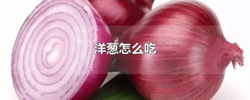 洋葱怎么吃才能降血脂降血压(洋葱怎么吃降压)