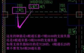 支座负筋是什么样子(板的支座负筋是什么)