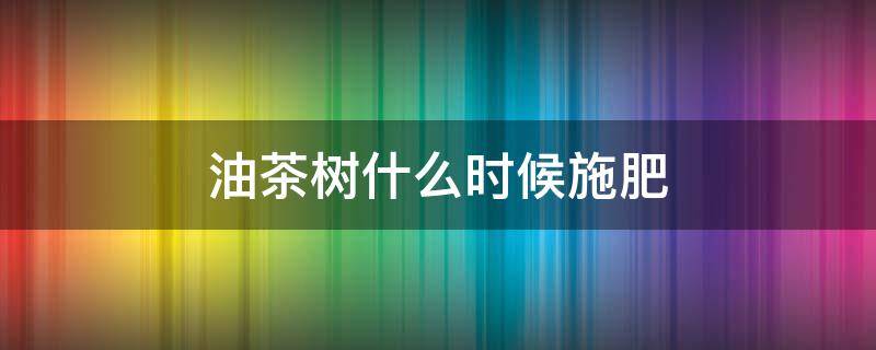 油茶树什么时候施肥最佳?施什么肥最好?(油茶树施什么肥好)