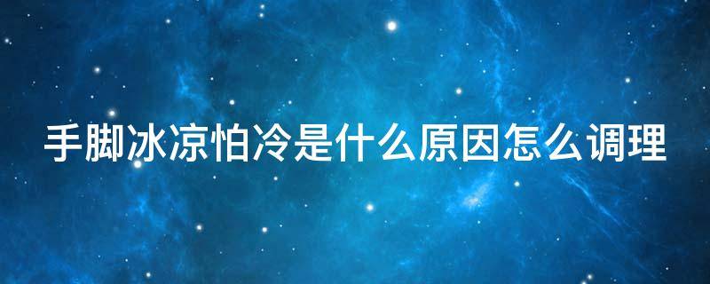 女人手脚冰凉怕冷是什么原因怎么调理(手脚冰凉怕冷是什么原因怎么调理)