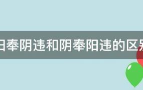 阳奉阴违与阴奉阳违的区别(阴奉阳违和阳奉阴违意思是否一样)