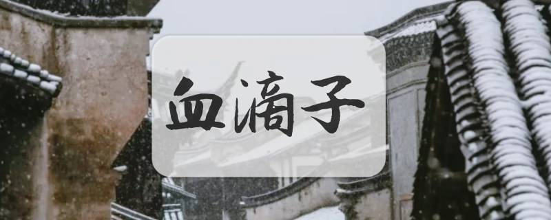 血滴子是什么梗?(血滴子是什么东西呀)