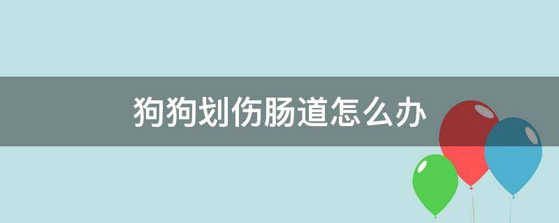 狗狗肠道划伤怎么治疗(狗狗划伤肠胃怎么办)