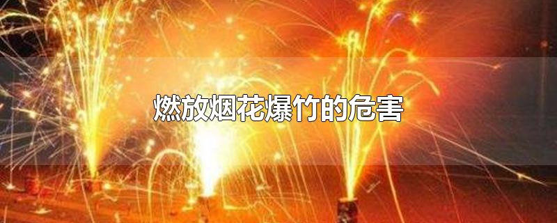 燃放烟花爆竹的危害有哪些(燃放烟花爆竹的危害图片)