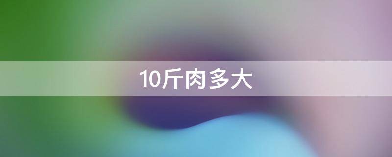 10斤肉多大(10斤人肉有多少)