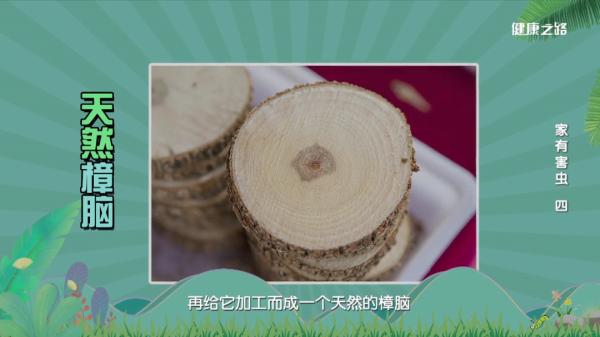 家中出现衣物蛀虫、粮食蛀虫不要怕！我们有办法！