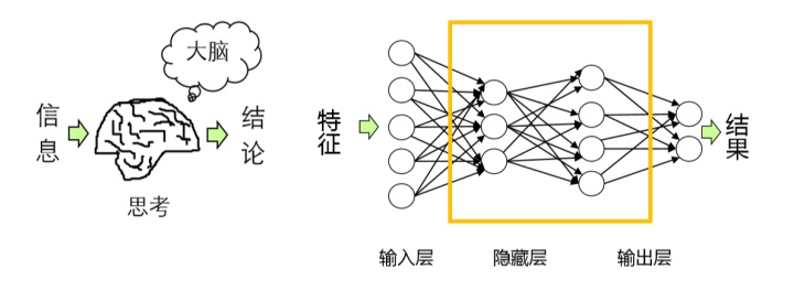 让你变得更聪明的五个行为，激活你的大脑，提升认知能力