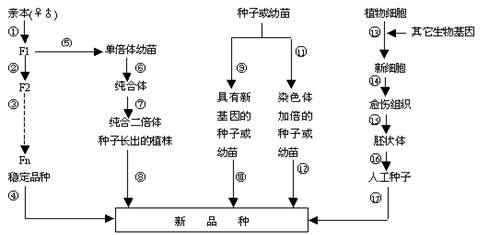 蔬菜种子标有“不得留种”，留种有啥影响？