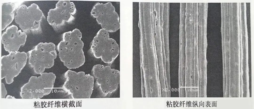 人造棉到底是什么“棉”？与纯棉有何不同？