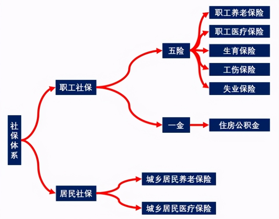 吐血整理社保报销的16个技巧，比别人多报几万块