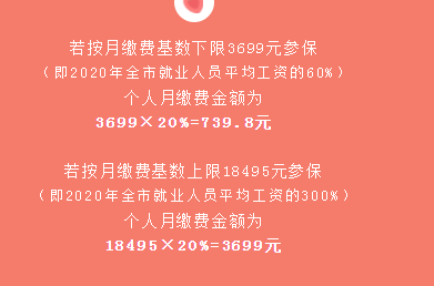 建议收藏！2022年社保参保缴费最全指南来了