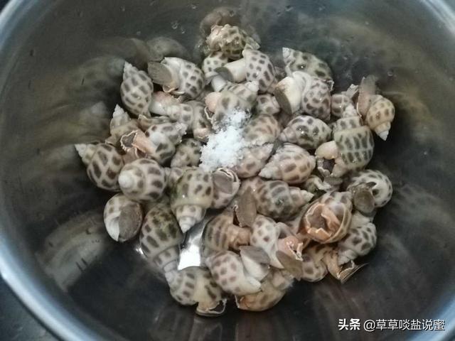 白灼花螺，是用滚水，还是冷水？