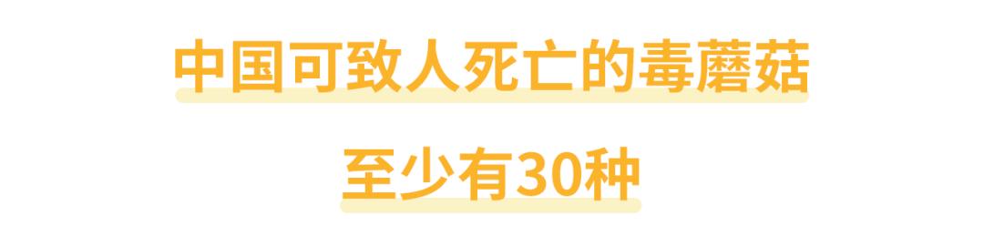 照网上教的方法挑野生菌，怎么还会挑中有毒的？