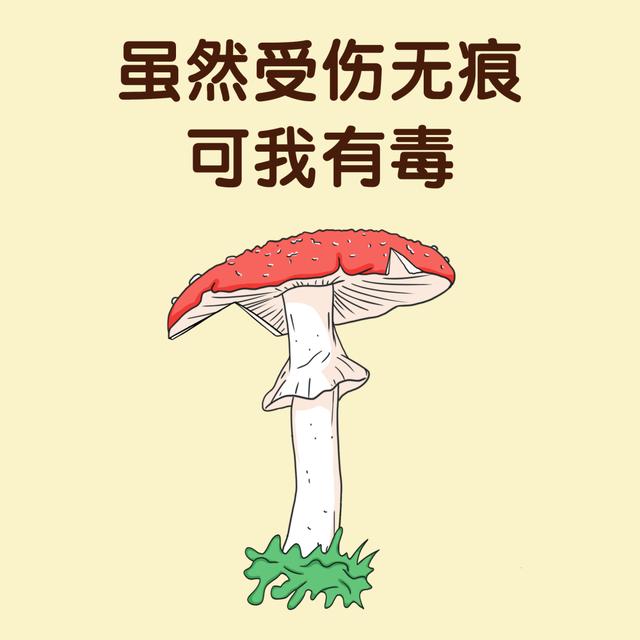 照网上教的方法挑野生菌，怎么还会挑中有毒的？