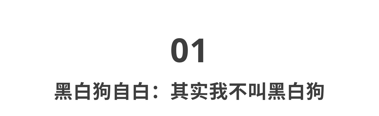 我们常喝的网红威士忌“黑白狗”，苏格兰人可能都没听说过