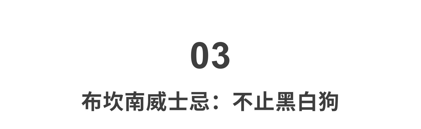 我们常喝的网红威士忌“黑白狗”，苏格兰人可能都没听说过