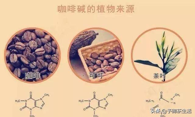 为何喝乌龙茶有三忌