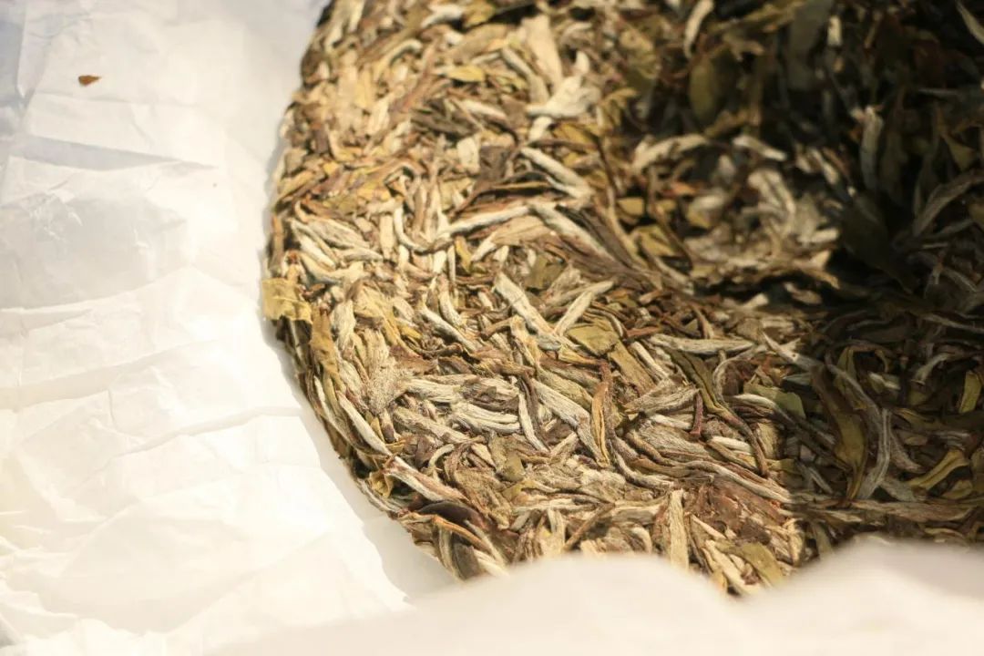 茶叶过了保质期还能喝吗？六大茶类的保质期各是多久？