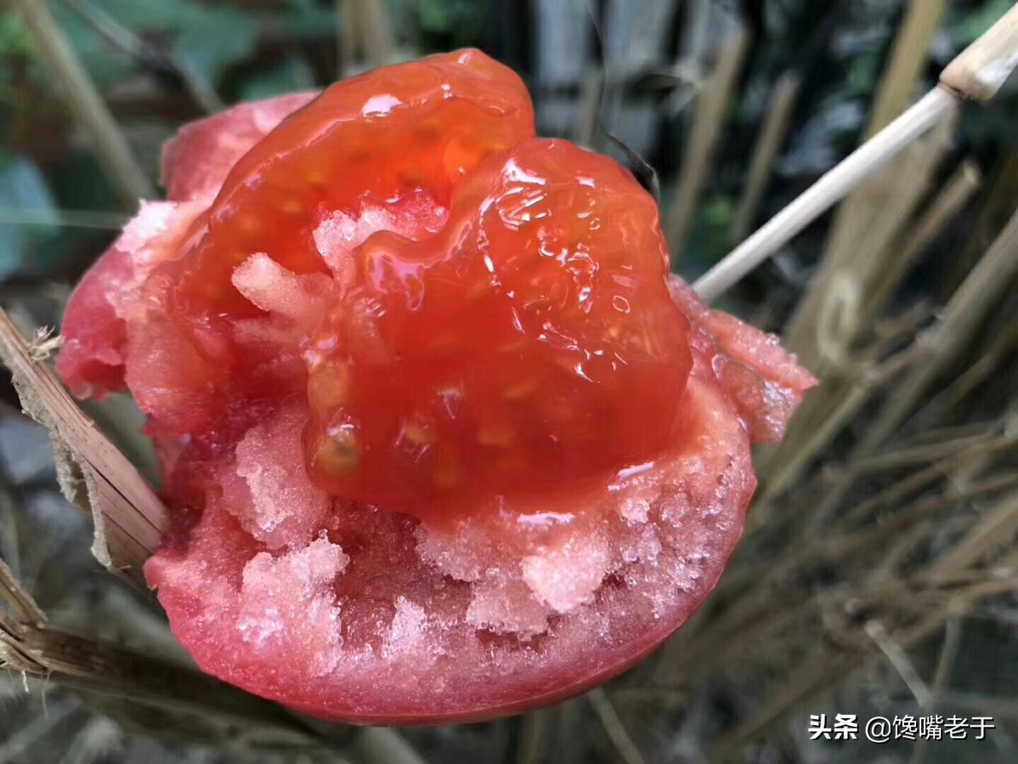 现在的西红柿又酸又硬？老菜农：牢记4点，沙甜多汁，一挑一个准