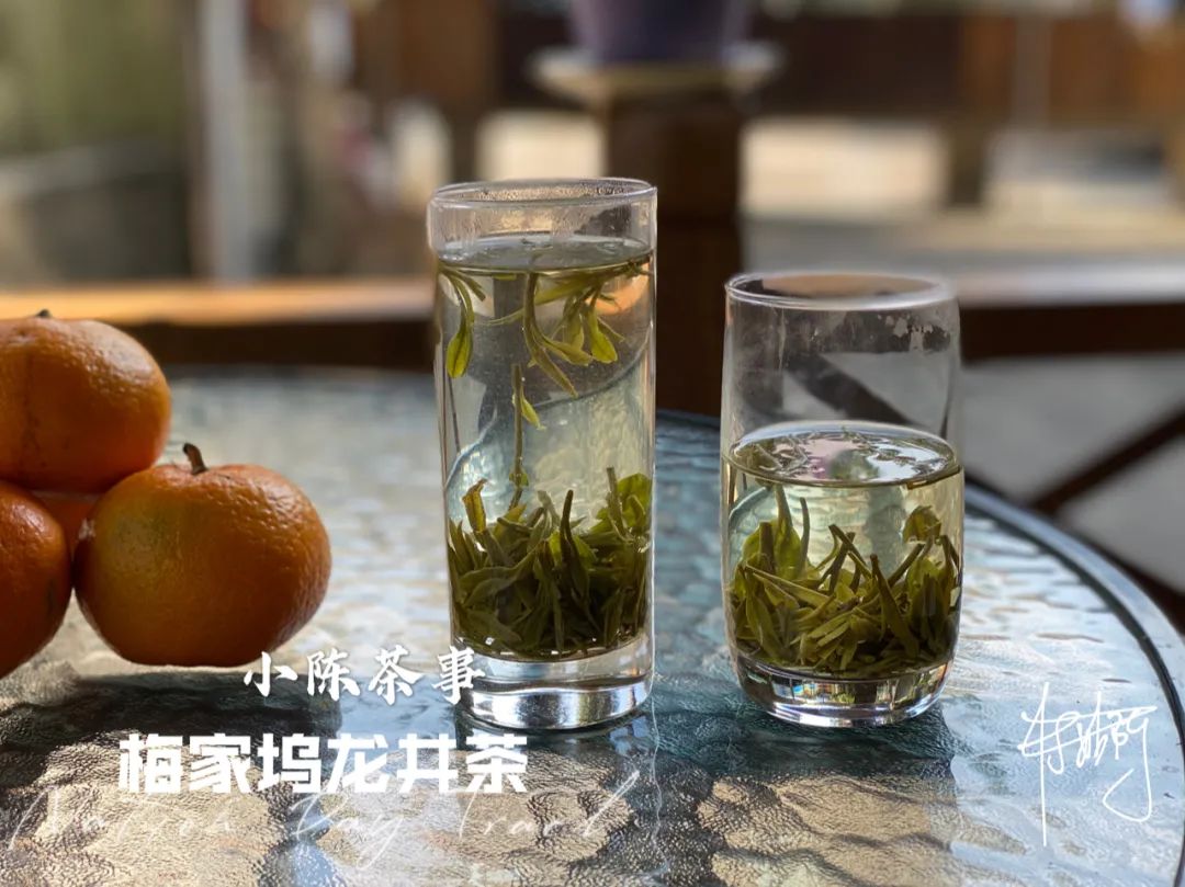 既然大红袍、铁观音都是乌龙茶，那么乌龙茶到底是红茶还是绿茶？